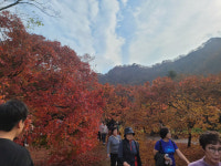 가을 축제 열리는 전남 주말 동안 비소식