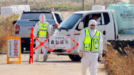 전북 고창서 럼피스킨 확산세…9건 확진 전국 세 번째