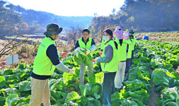 농협광주본부, 광주광역시 관광공사와 농촌일손돕기