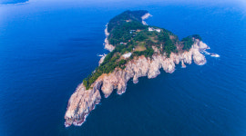 비 오듯 내리는 동백꽃…통영 장사도·거제 지심도 겨울섬 선정