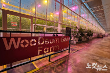 농부없는 농장…K-스마트팜, 세계를 누빈다[영상]