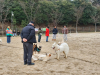 창원 펫-빌리지놀이터 2월 14일까지 휴장…진출입로 공사