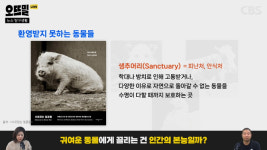 푸바오에 사로잡힌 한국, 만약 산에서 판다를 만나면?