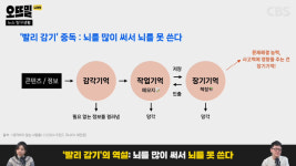 유튜브·넷플릭스, 1.5배속으로 볼 때 뇌에서 일어나는 일