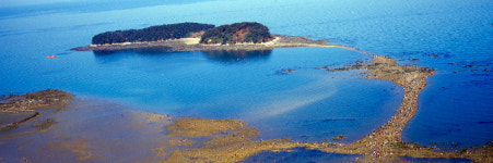 대천해수욕장 6월 29일 개장, 무창포해수욕장 7월 6일 개장