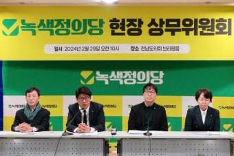 녹색정의당 