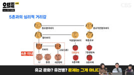 5촌까지 결혼 허용 논란, 국제 트렌드는 사촌 결혼 가능?
