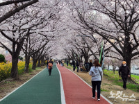 4일 부산 대체로 흐린 날씨…낮 최고기온 16도