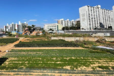 전주 남부권 반다비체육센터 본격화, 설계공모 착수