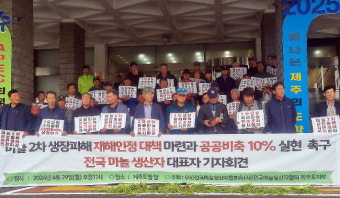 수확 앞둔 제주 마늘 생장 피해 확산…농민들 '울상'