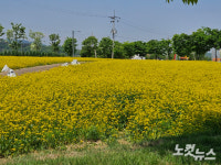 청주 도시농업페스티벌 개막…다양한 도시농업 체험
