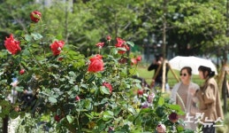 도심 속 정원 문래동 꽃밭정원 개장