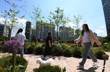 반려견과 문래동 꽃밭정원 산책