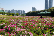 태화강 국가정원 방문객 만족도 높인다…울산시, 시설 확충