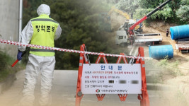 강원 최대 양돈지 철원서 아프리카돼지열병 발생