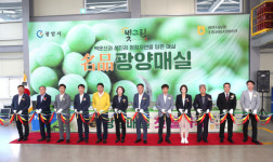 광양 명품 매실 첫 출하…생산유통 통합조직 출범식