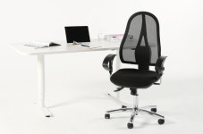 독일 국민 사무용 의자 탑스타, 6월 국내 첫 선