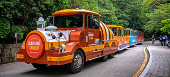 태종대유원지, 수국 개화기 맞춰 다누비열차 연장 운행