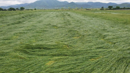 전남도, 농업정책보험료 지원 역대 최대 투입