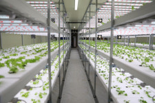 남서울대, 스마트팜학과 실습농장 개소…전문 인재 양성