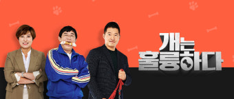 강형욱 빠진 '개훌륭' 이경규×박세리와 5주 만 컴백