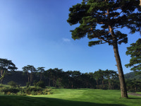 골프장 555곳 중 2곳은 농약 없이 운영 중