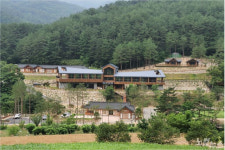 자연 속 힐링 삼척 활기치유의 숲, 군인·광산근로자에 요금면제
