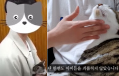 동물학대 논란 유튜버 갑수목장, 동물병원 개원했다?[댕댕냥냥]