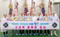 전남 한우 경진대회 최우수 한우 2575만원…전국 평균보다 2.8배 ↑