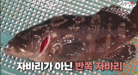 요즘 휴가 가서 회 뭐 먹음? 그 지역서 나는 잡어류가 최고[한판승부]