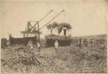 경북도호국보훈재단, 미주지역 경북 선열 독립운동과 삶 특별기획전