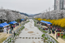 김천 조각공원·영주 서원로, 산림청 우수 관리 가로수길 선정
