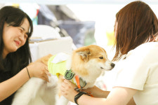 롯데아울렛 동부산점서 최대 규모 펫 페스티벌 열려