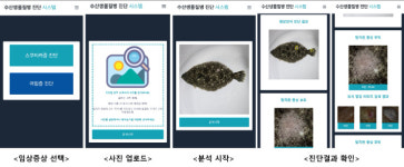 스마트폰으로 물고기 건강 진단? AI 시스템 미리봄 등장