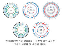 염전 미생물서 자외선 차단 소재 발견…수입대체 기대