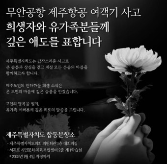 엔싸인, 제주항공 참사 희생자 추모 쇼케이스 취소 결정