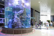 설 연휴 해양수산과학관·섬진강어류생태관서 힐링을