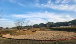 숲에서 배우고, 치유한다 부산시, 산림복지서비스 강화