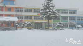 산불 걱정은 덜었지만…연 이은 폭설에 눈 치우는 주민들 한숨