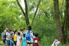 경남산림환경연구원, 숲 해설가 전문과정 교육생 모집