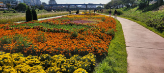 청주시, 도심 속 꽃정원 장식…축제·체험 프로그램 풍성