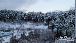 구룡령 42cm 3월 중순에 폭설 쏟아진 강원…빙판길·도로살얼음 주의