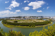 울산시, 태화강에 하중도 물새 관찰장 운영