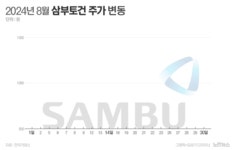 [단독]악재 직전 대량매도…금감원, 삼부토건 의심거래 포착