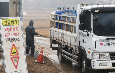 세종 산란계 농장서 H5형 AI 항원 확인…26일 12시까지 일시이동중지 명령