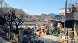[르포]산불 직격탄 영덕 어민들 수협 보험도 안된대요
