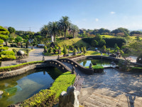 생각하는 정원 2025년 방문의 해 선포…제주도민 관람료 할인