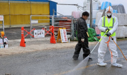2주일 넘게 소강상태 속 전남 돼지농가 2곳서 구제역 발생