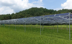 농사 지으며 태양광 수익 일석이조 영농형 태양광 활성화 한계