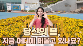 창원의 봄, 영상으로 만난다…창원시 홍보영상 유튜브 공개